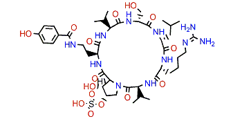 Cupolamide B